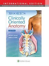 Moore's clinically oriented anatomy