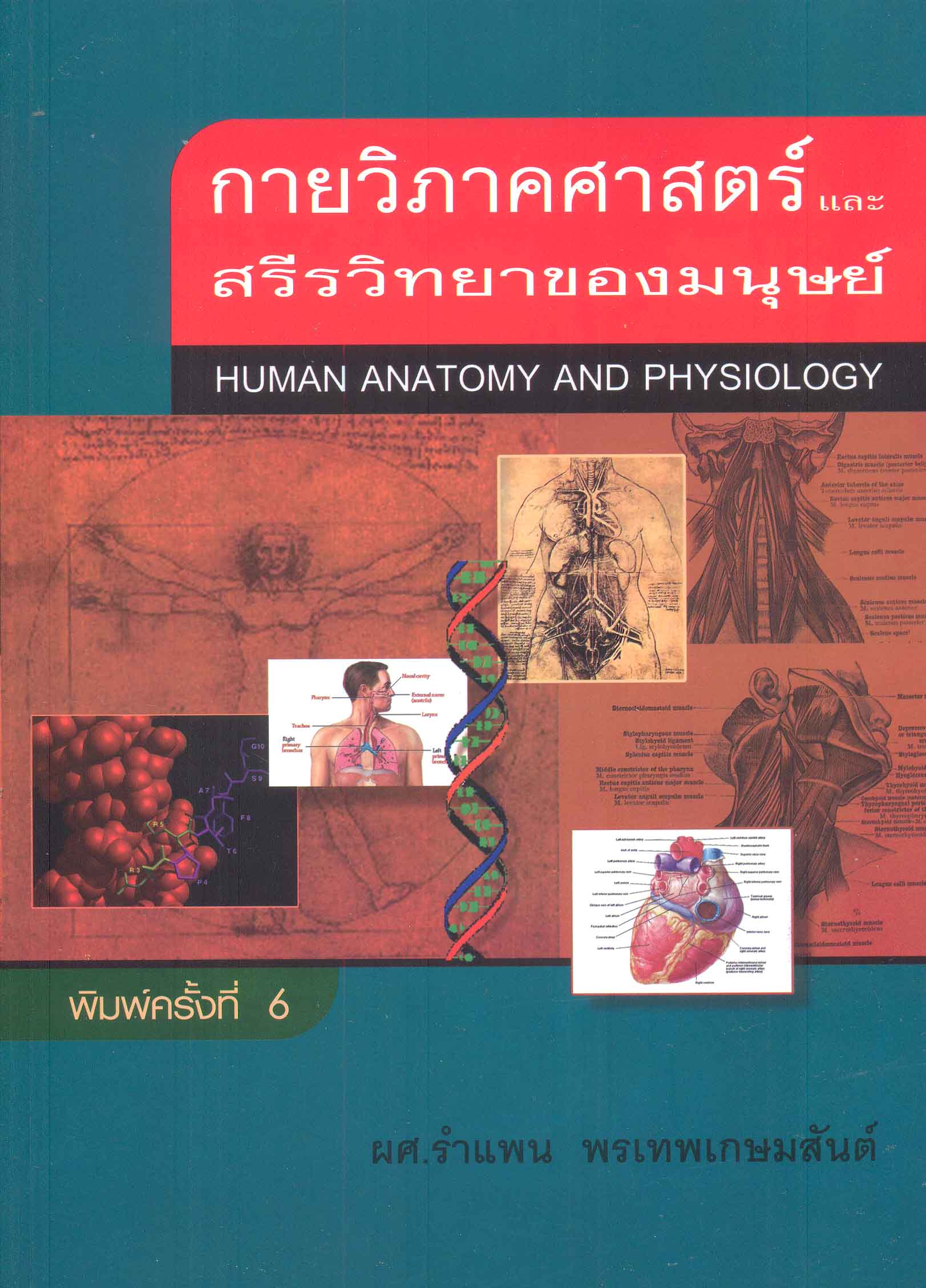 กายวิภาคศาสตร์และสรีรวิทยาของมนุษย์ = Human anatomy and physiology