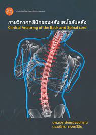 กายวิภาคคลินิกของหลังและไขสันหลัง = Clinical anatomy of the back and spinal cord