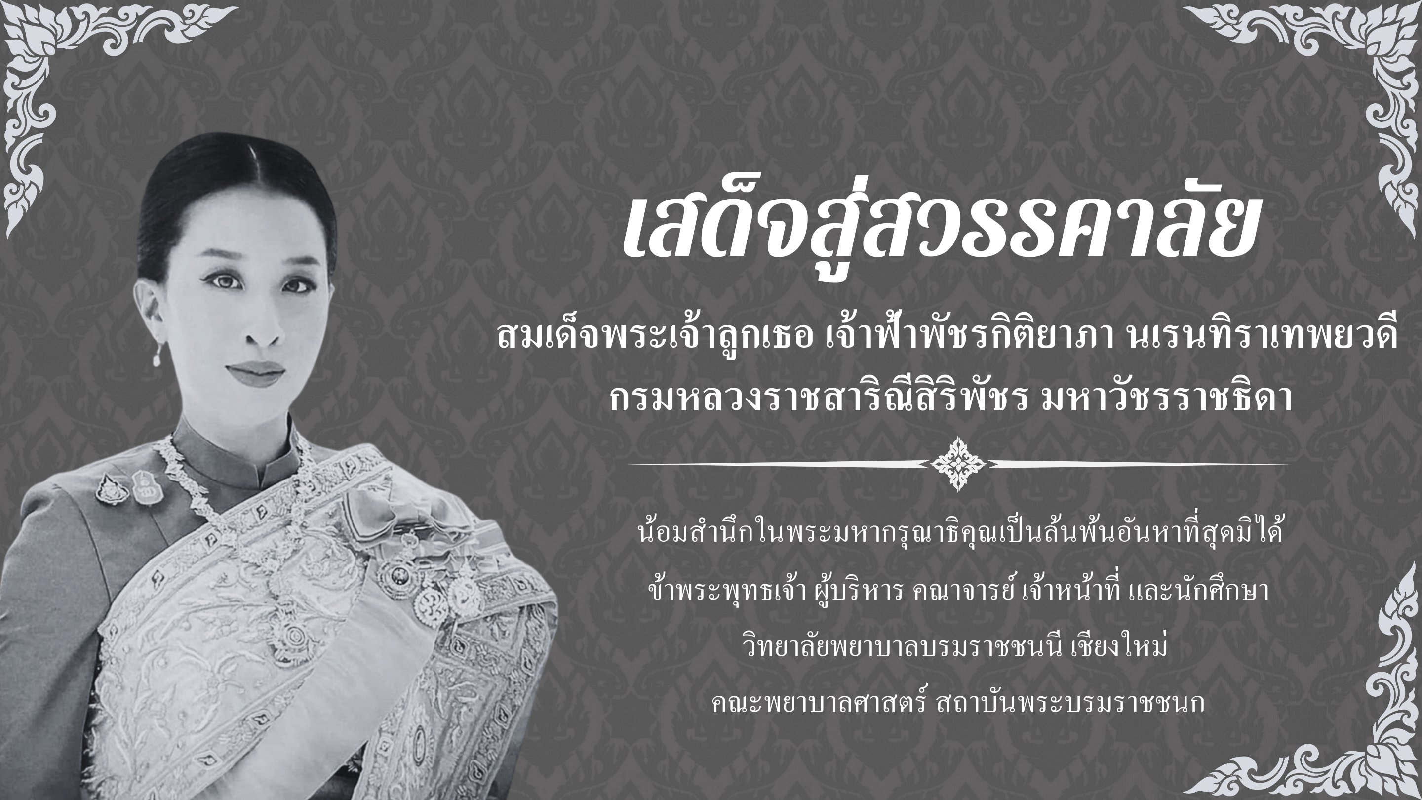 BCNC Banner 12062569